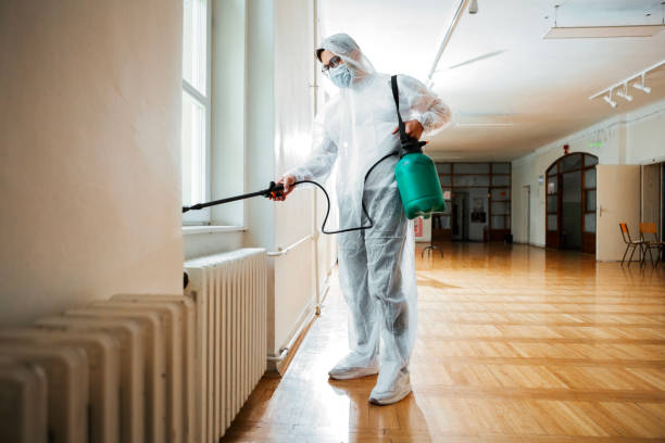 Best Real Estate Pest Inspections  in Stonewall, LA